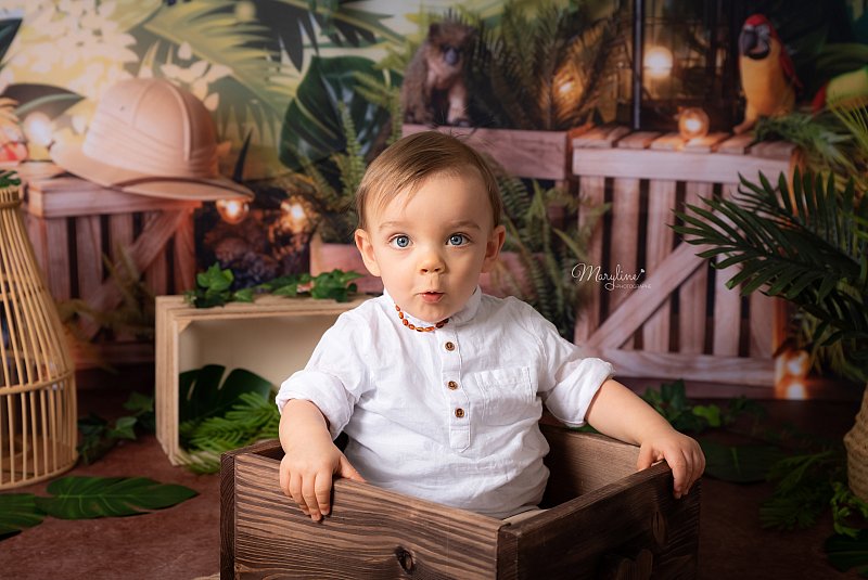 photographe,bambin,bois,reims